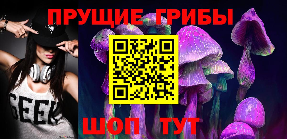 Кинель  Псилоцибиновые грибы Cubensis  Вход с VPN  купить наркотик  Галлюциногенные грибы Cubensis 
